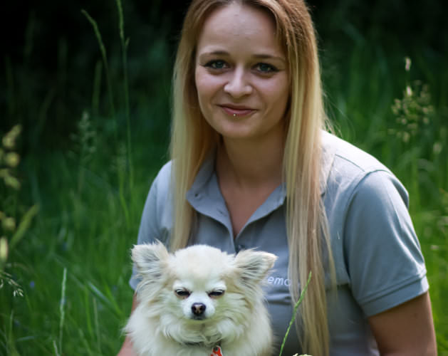 Ansprechpartner