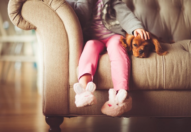 Kleines Mädchen mit Hund auf dem Sofa – Cremare 