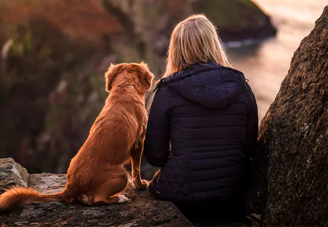 Hund und Frau in der Natur – Headerbild