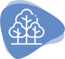 Cremare Tierbestattung Kremierungsarten Rückführung Natur