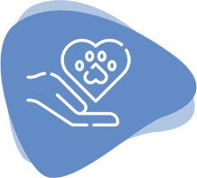 Cremare Tierbestattung Kremierungsarten Tiereinäscherung Einzeln