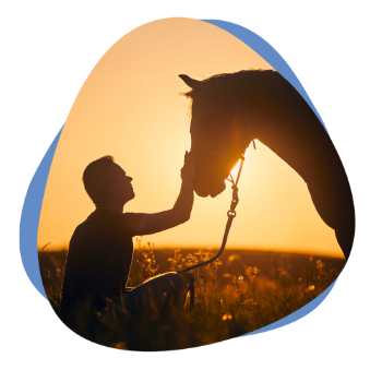 Man mit Pferd auf Feld vor dem Sonnenuntergang