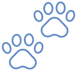 Icon Fortbildung blaue Pfoten
