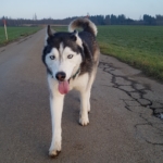 Gedenkbild