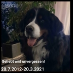 Gedenkbild