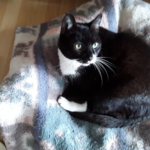Gedenkbild