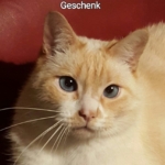 Gedenkbild