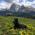 Gedenkbild