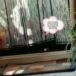 Gedenkbild