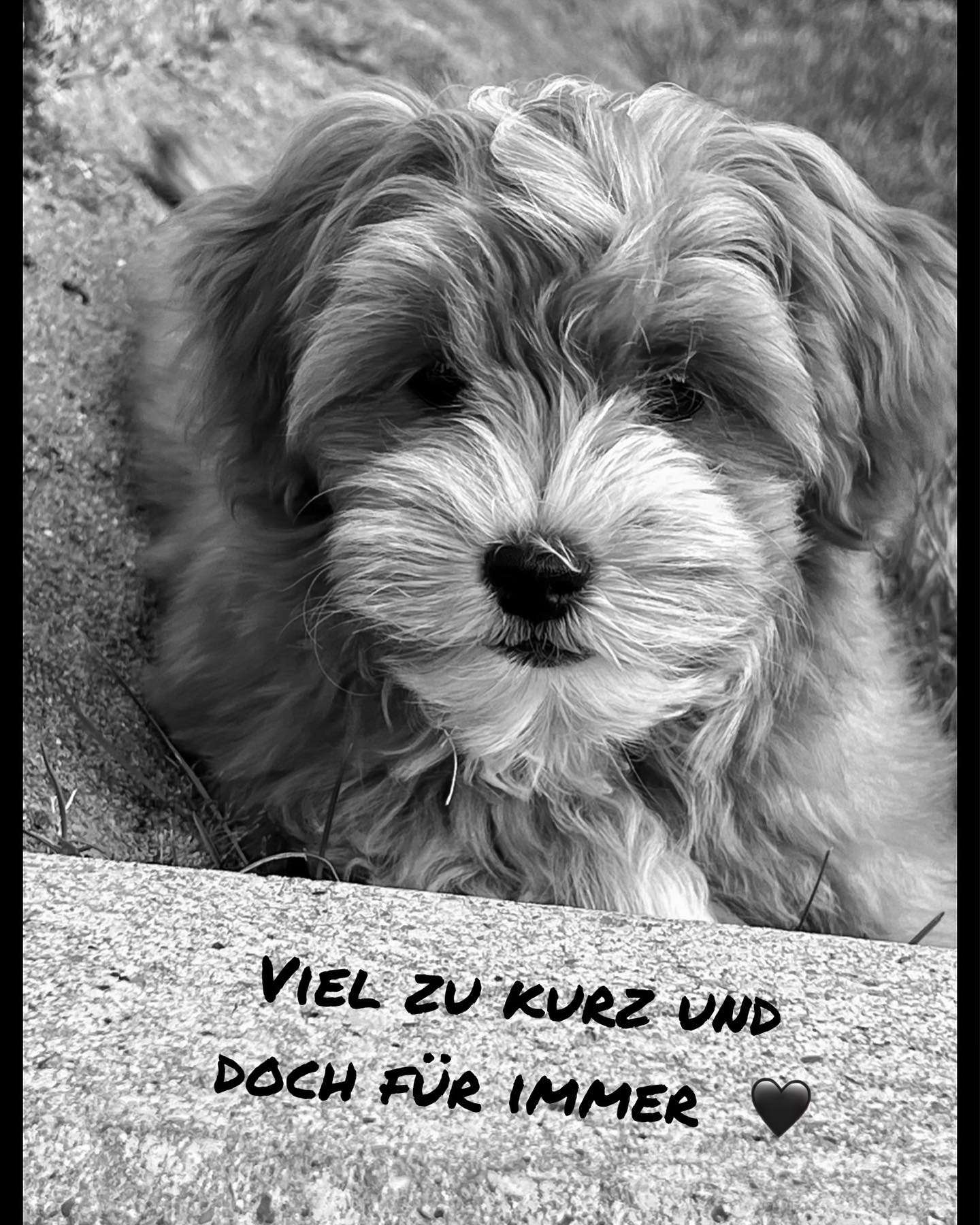 gedenkbuchbild-4439