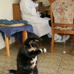Gedenkbild