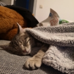 Gedenkbild
