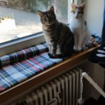 Gedenkbild