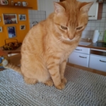 Gedenkbild
