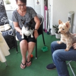 Gedenkbild