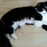 Gedenkbild