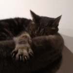 Gedenkbild