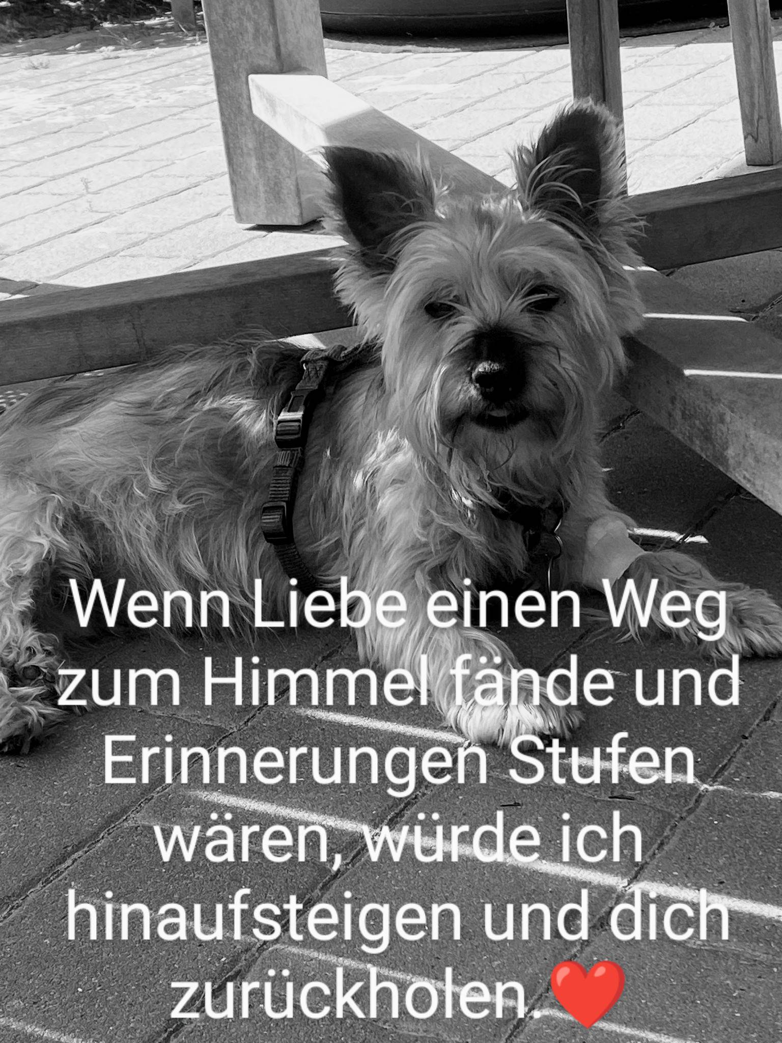 gedenkbuchbild-8740