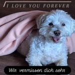 Gedenkbild