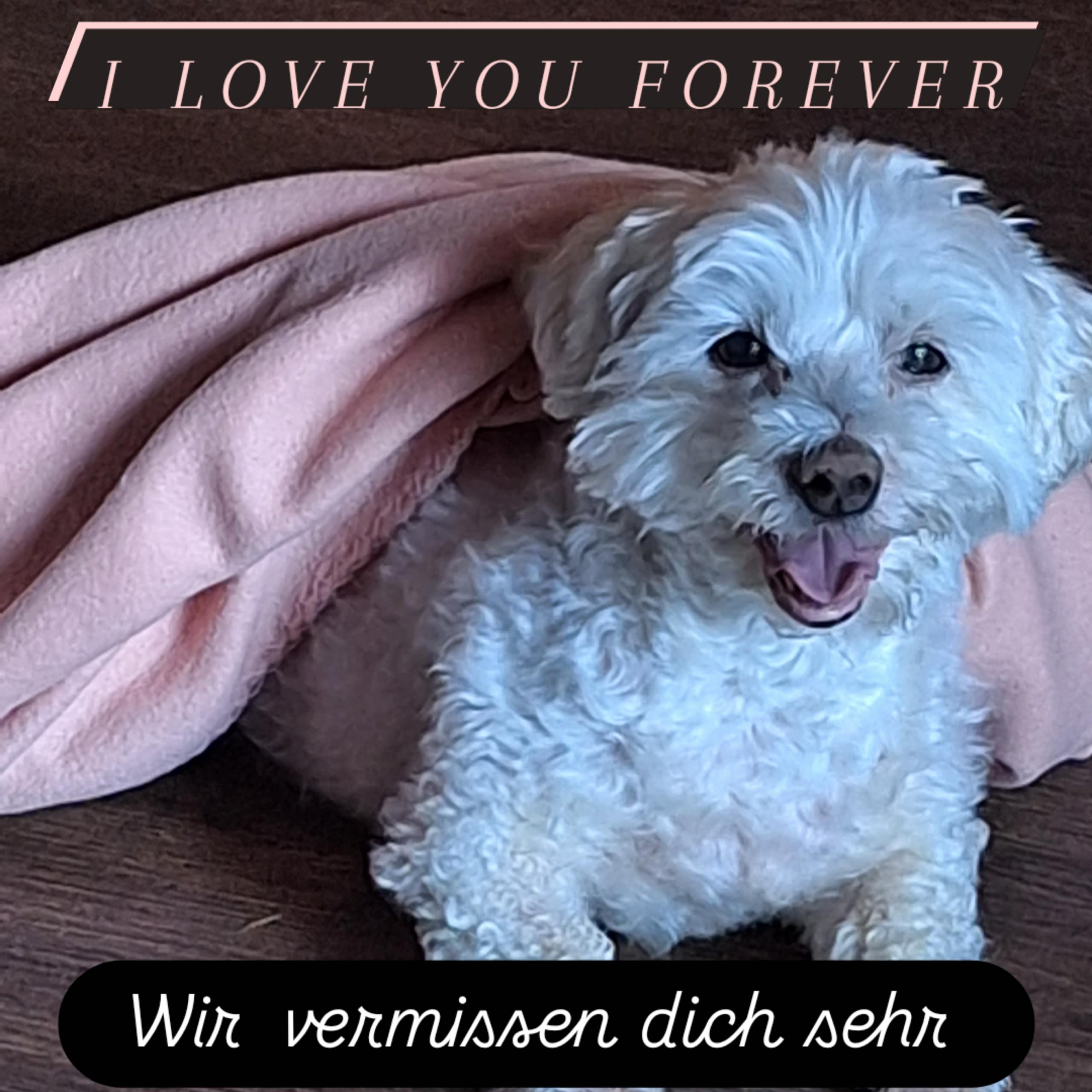gedenkbuchbild-8771