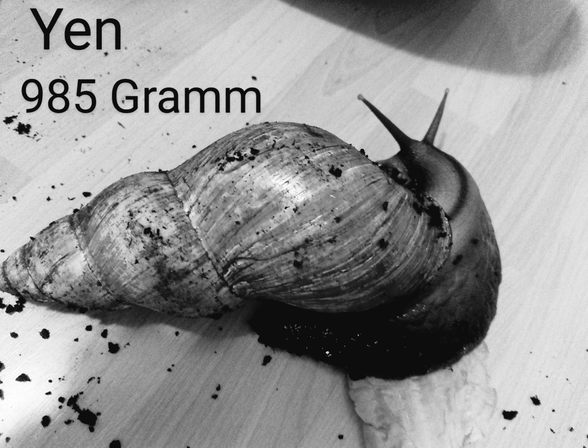 gedenkbuchbild-8843