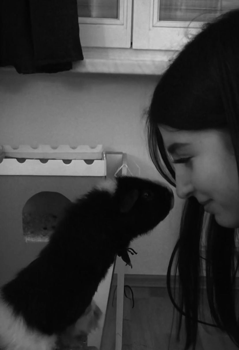 IMG_6786.jpeg