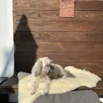 Gedenkbild