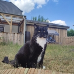 Gedenkbild
