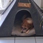 Gedenkbild