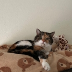 Gedenkbild