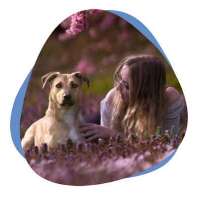 Junge Frau auf dem Boden liegend mit ihrem Hund in einem lila-rosa Blumenfeld