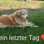 Gedenkbild