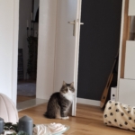 Gedenkbild