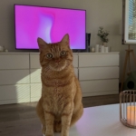 Gedenkbild
